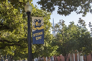 hpu trees and banner
